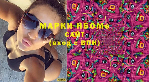 твердый Инсар
