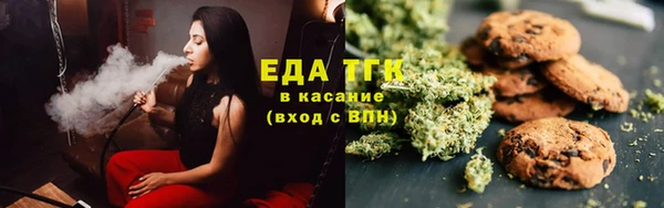 твердый Инсар