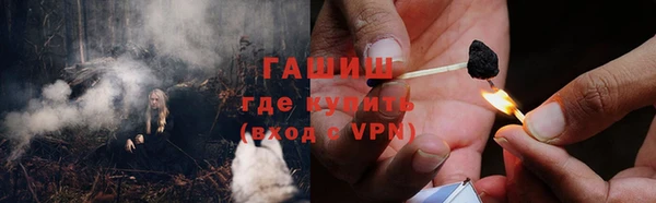 твердый Инсар