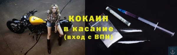 твердый Инсар