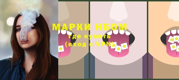 твердый Инсар