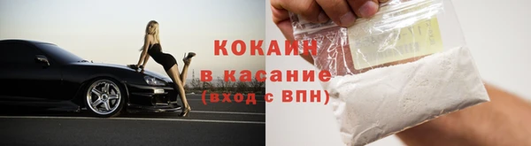 твердый Инсар