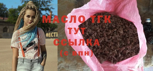 твердый Инсар