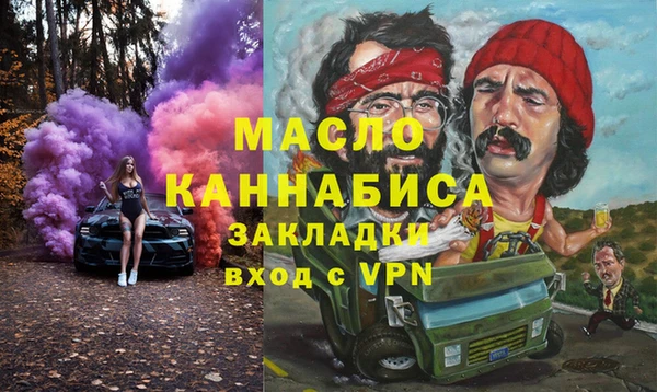 твердый Инсар