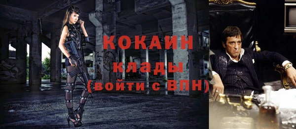 твердый Инсар