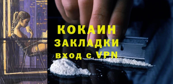 a pvp Инта