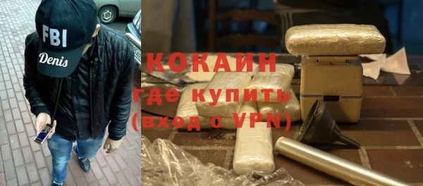 твердый Инсар