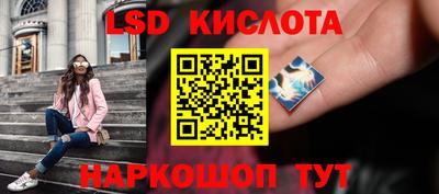 стафф Будённовск